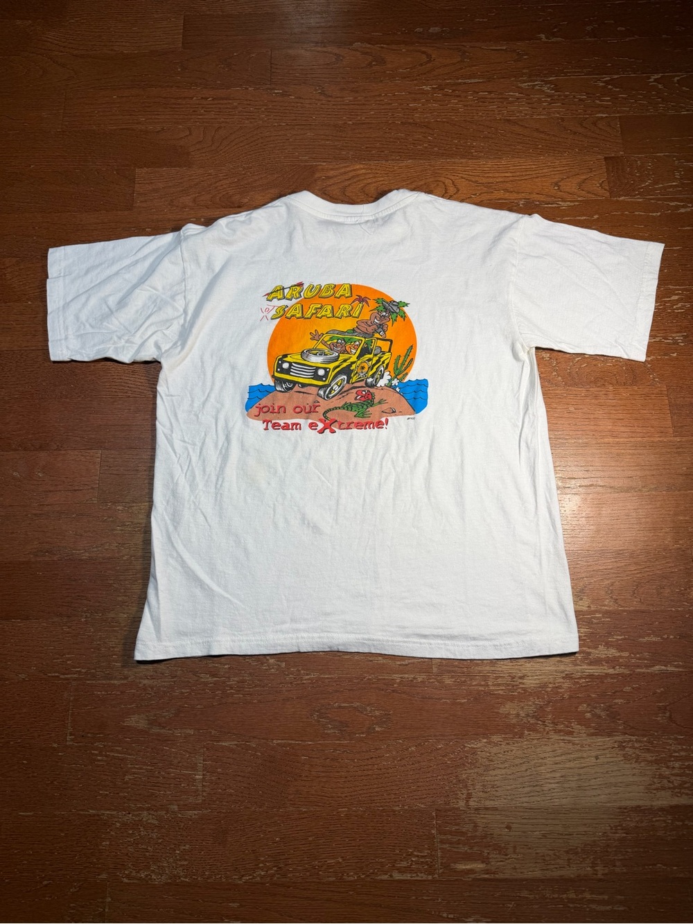 Vintage Aruba Safari Join our Team Extreme Back Graphic Tee